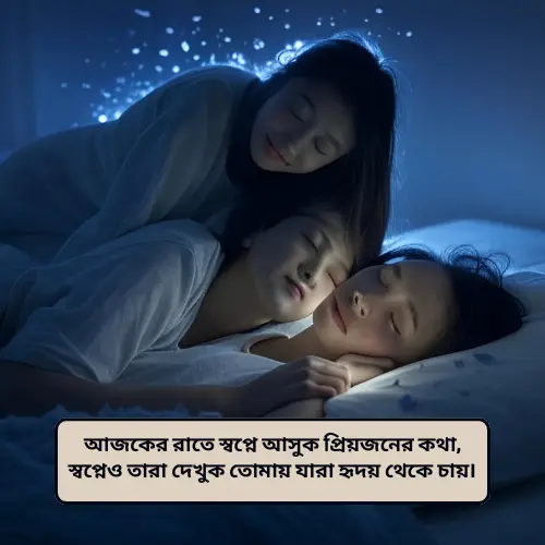 good night bangla shayari
